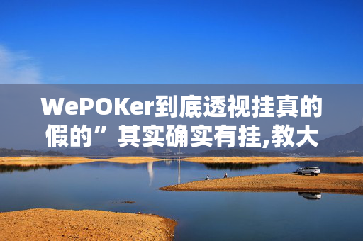 WePOKer到底透视挂真的假的”其实确实有挂,教大家使用