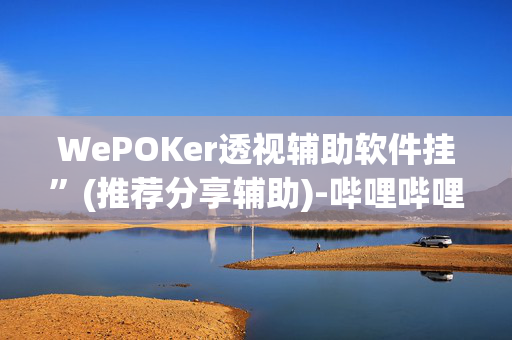 WePOKer透视辅助软件挂”(推荐分享辅助)-哔哩哔哩