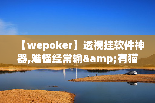 【wepoker】透视挂软件神器,难怪经常输&有猫腻开挂教程-哔哩哔哩