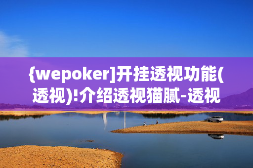 {wepoker]开挂透视功能(透视)!介绍透视猫腻-透视软件版