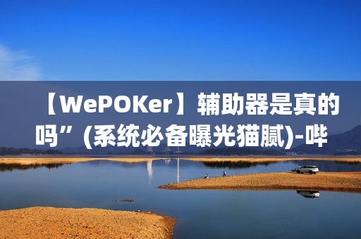 【WePOKer】辅助器是真的吗”(系统必备曝光猫腻)-哔哩哔哩