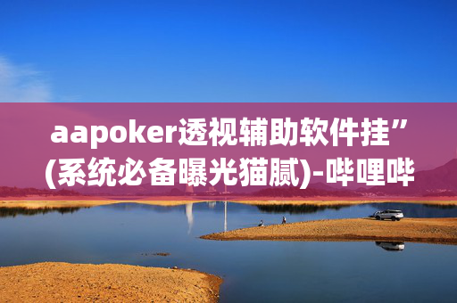 aapoker透视辅助软件挂”(系统必备曝光猫腻)-哔哩哔哩