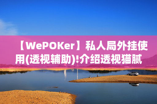 【WePOKer】私人局外挂使用(透视辅助)!介绍透视猫腻-透视软件版