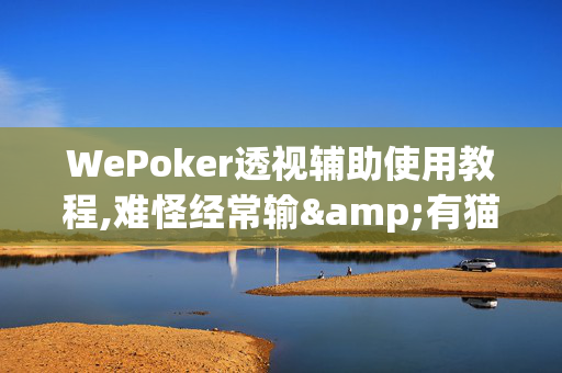 WePoker透视辅助使用教程,难怪经常输&有猫腻(透视)