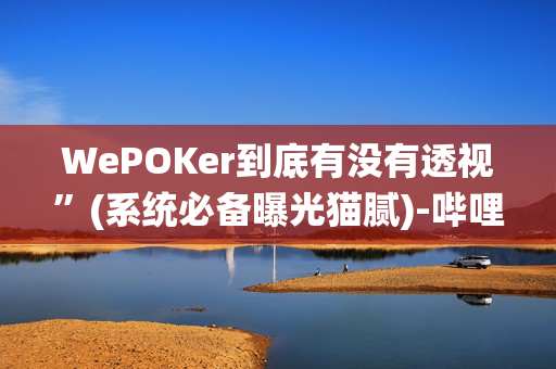 WePOKer到底有没有透视”(系统必备曝光猫腻)-哔哩哔哩