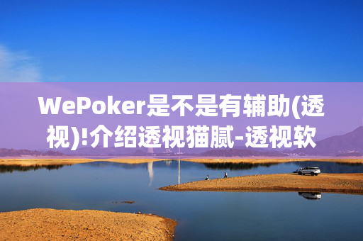 WePoker是不是有辅助(透视)!介绍透视猫腻-透视软件版