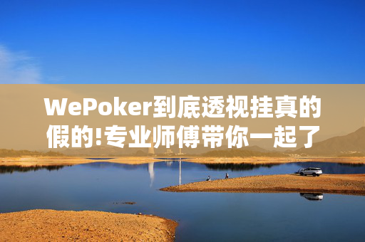 WePoker到底透视挂真的假的!专业师傅带你一起了解开挂-哔哩哔哩