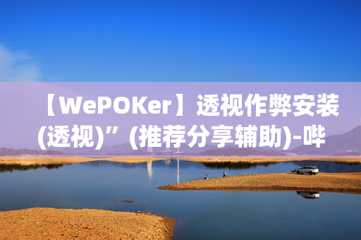 【WePOKer】透视作弊安装(透视)”(推荐分享辅助)-哔哩哔哩