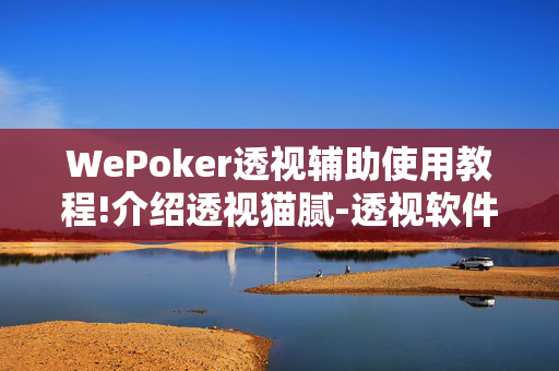 WePoker透视辅助使用教程!介绍透视猫腻-透视软件版