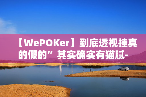 【WePOKer】到底透视挂真的假的”其实确实有猫腻-我来告诉大家