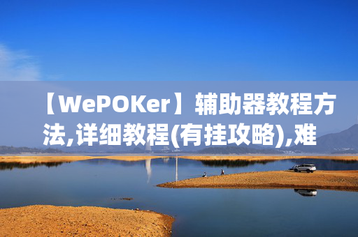 【WePOKer】辅助器教程方法,详细教程(有挂攻略),难怪经常输