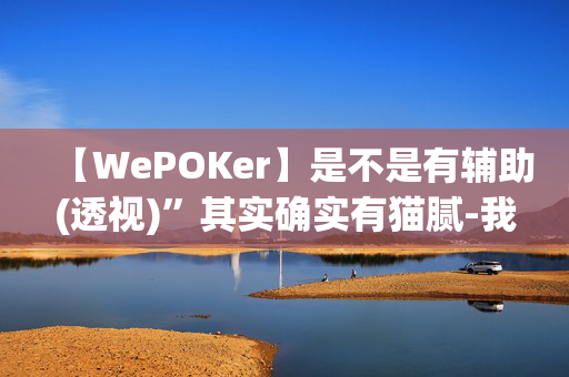 【WePOKer】是不是有辅助(透视)”其实确实有猫腻-我来告诉大家