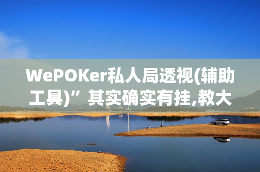 WePOKer私人局透视(辅助工具)”其实确实有挂,教大家使用