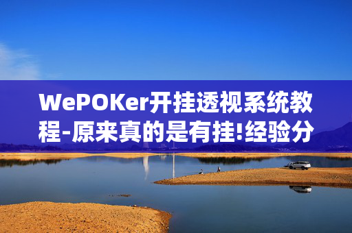 WePOKer开挂透视系统教程-原来真的是有挂!经验分享!