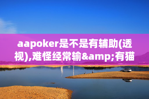 aapoker是不是有辅助(透视),难怪经常输&有猫腻(透视)