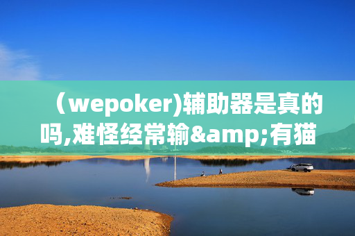 （wepoker)辅助器是真的吗,难怪经常输&有猫腻开挂教程-哔哩哔哩